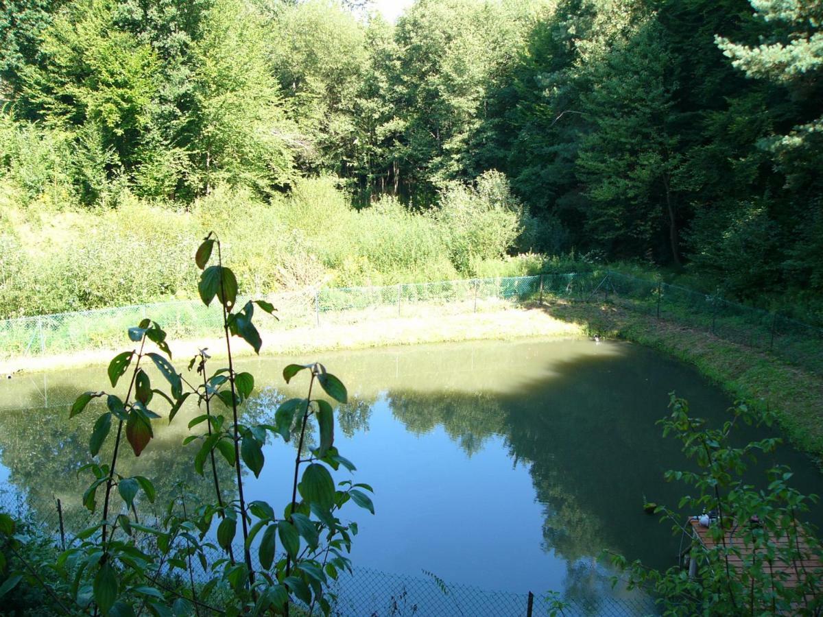 Agroturystyka - Agrodomek Nozdrzec Luaran gambar